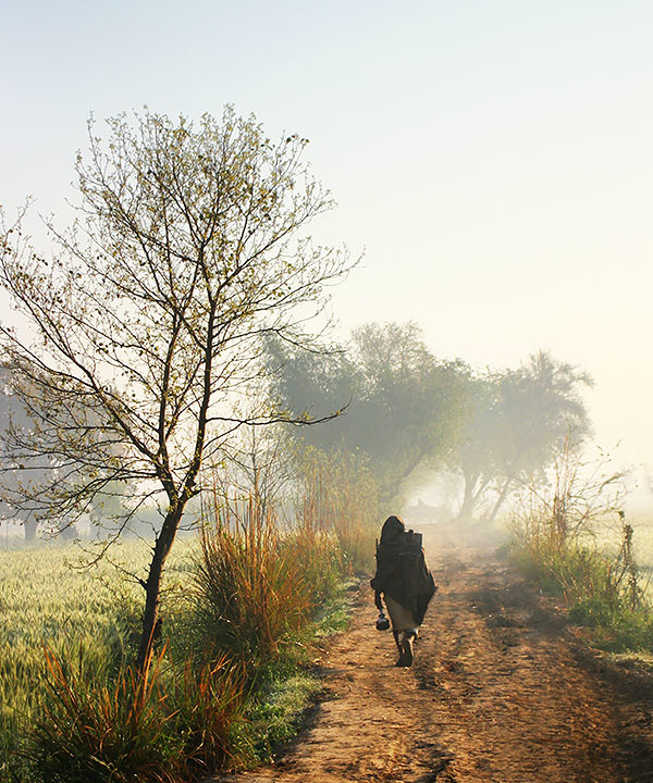 A FARMER AND THE MORNING LIGHT