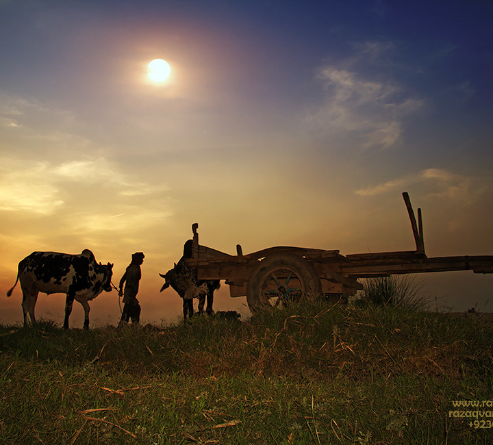 Glimpses Of Village Life And Farmers Of Punjab Pakistan
