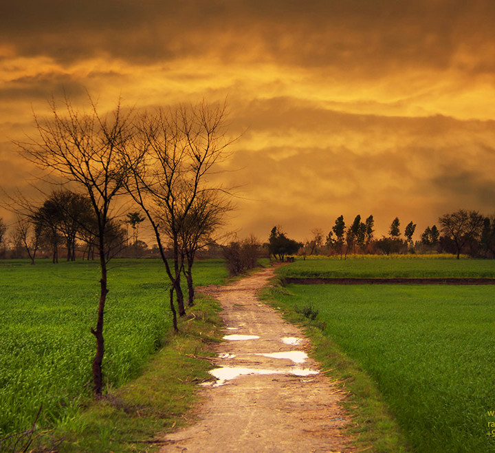 Wonders Of Light After Rain In Monsoon Season