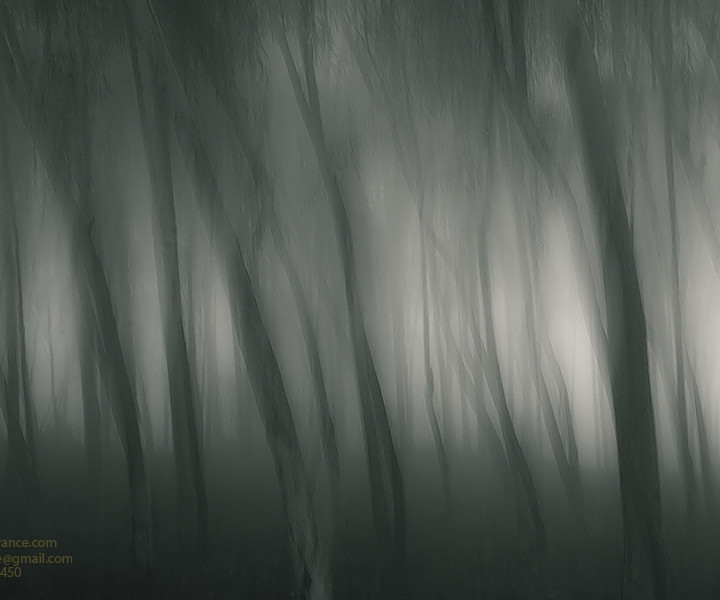 Using In Camera Motion to Get Creative Blur in Fine Art Photography