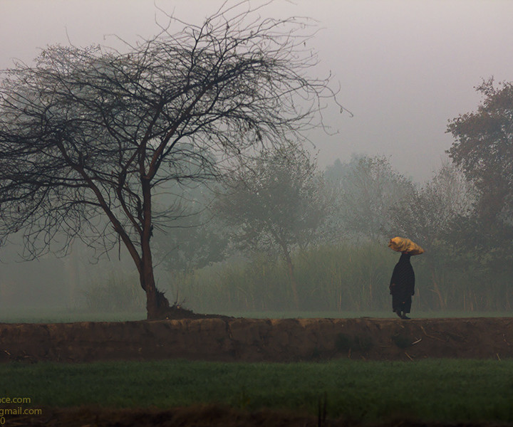 Life In The Morning In Winter In An Asian Village