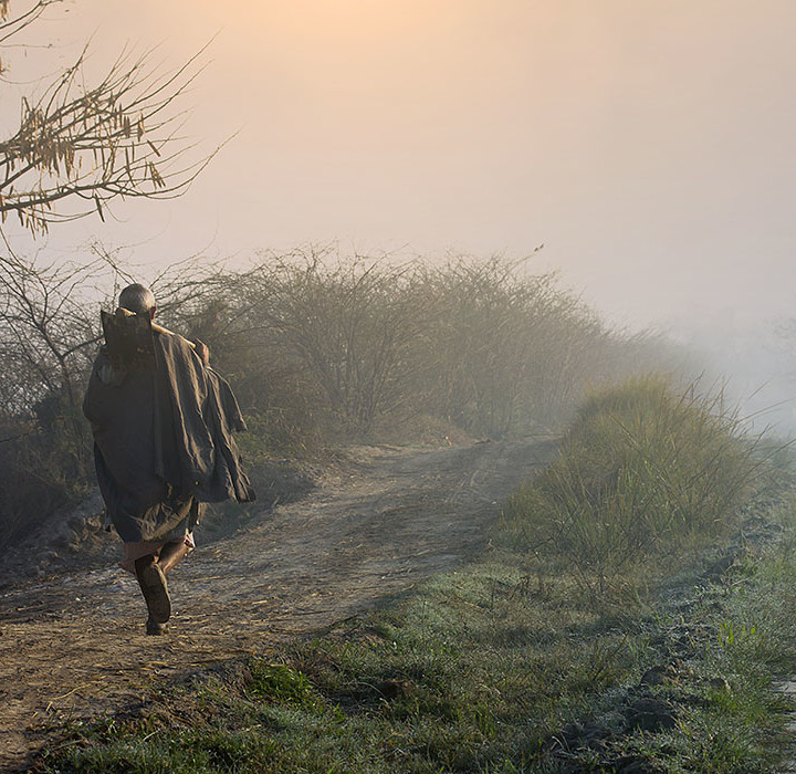Hues And Beauty Of Life In A Winter Morning In The Fields Of Punjab Pakistan