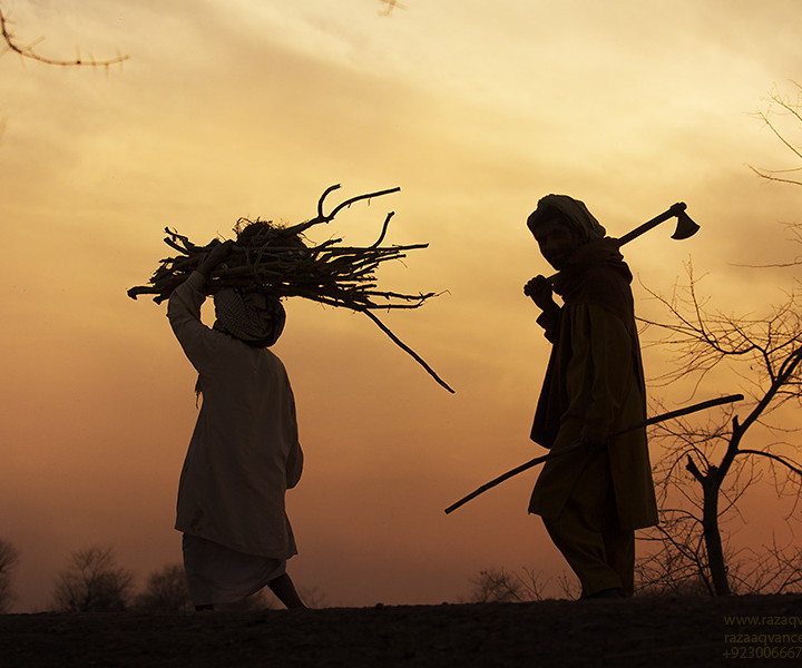 Home Bound Farmers In The Golden Light Of Setting Sun