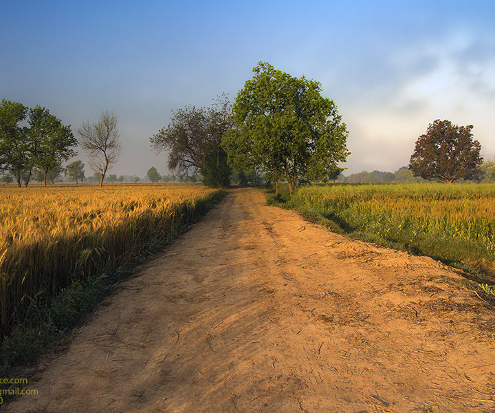 Enchanting And Heart Touching Beauty Of Village Landscape In Vibrant Morning Light