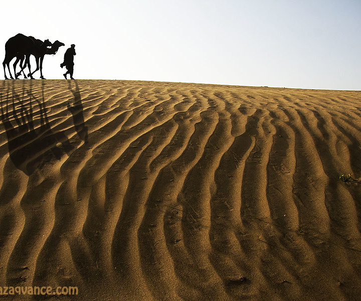 Camel Caravan And Landscape Beauty Of Desert with Sand Ripples