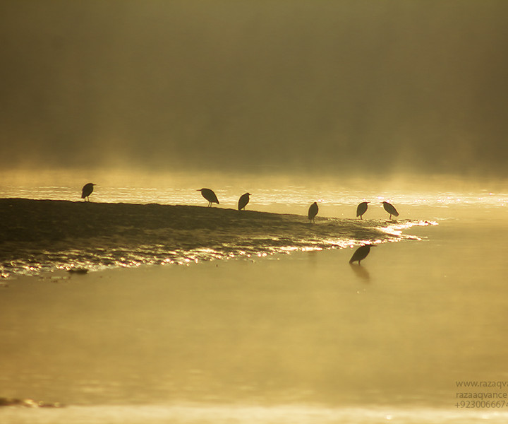 Landscape Photography and Beauty of Light on a Riverside