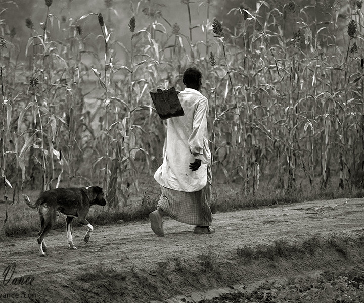 A Famer and His Dog Going Together on a Dirt Road