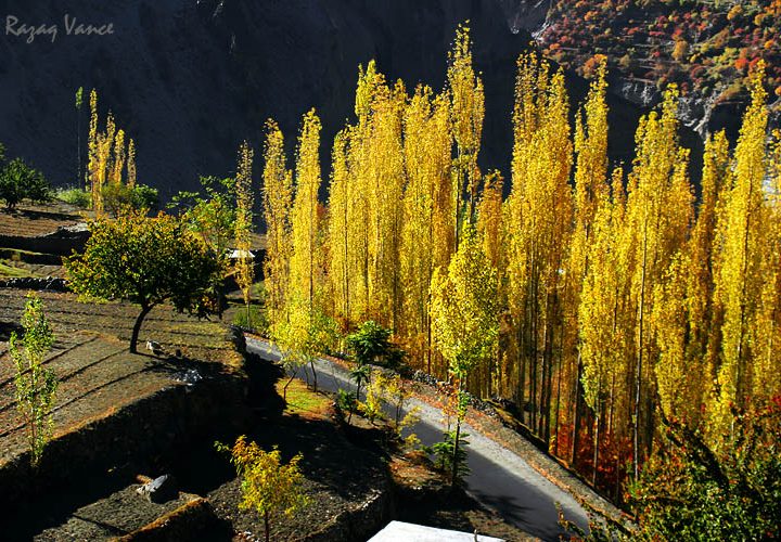 VIBRANT COLORS OF AUTUMN IN HUNZA VALLEY PAKISTAN