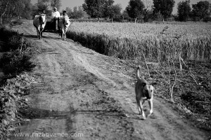 TEN TIPS TO GET THE MAGIC OF BLACK AND WHITE PHOTOGRAPHY