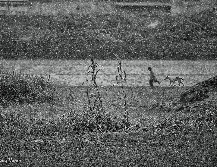 A Nomad Boy with his Pet Dog Racing to Home in Heavy Rain