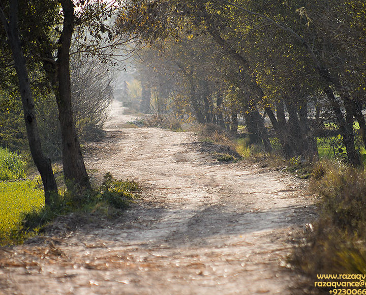 Autumn Hues and Dirt Road Through The Fields in Winter