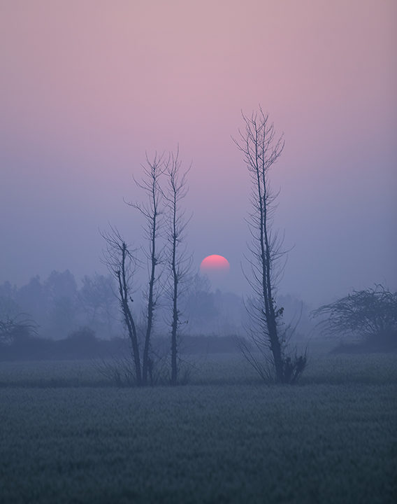 Mystic Experience of Witnessing Sunrise in a Chilly Winter Morning