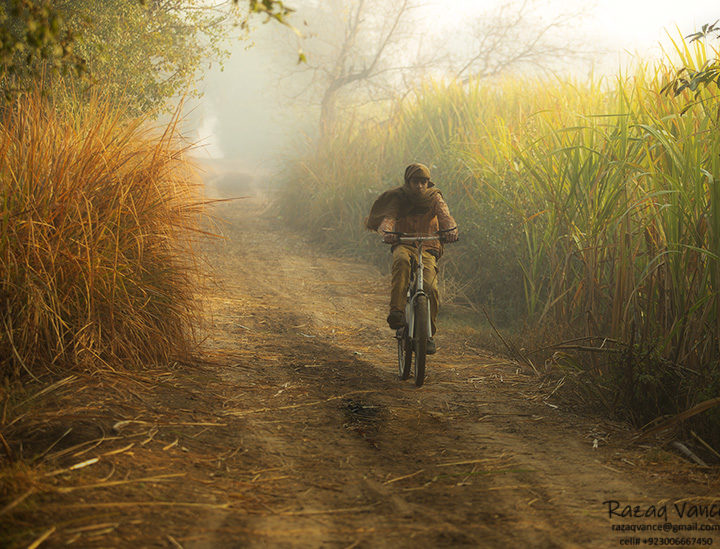 Farmer's Son Going Back to Home in a Chilly Winter Morning.