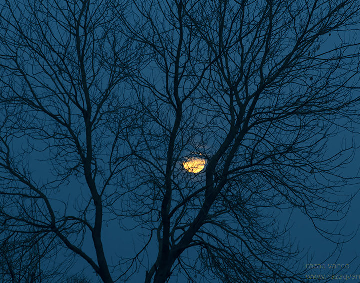 Some Best Pictures of Super Moon 2019